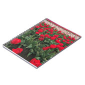 Rotes Tulip Feld, Oregon Notizblock (Linke Seite)