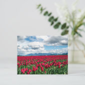 Rotes Tulip-Feld Postkarte (Stehend Vorderseite)