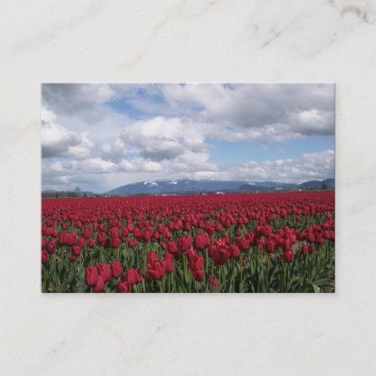Rotes Tulpe-Feld Visitenkarte (Vorderseite)