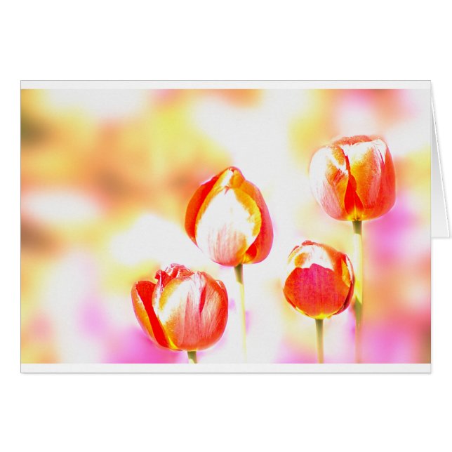 Rotes Tulpe-Quartett (Vorderseite (Horizontal))