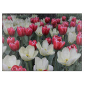 Rotes u. weißes Frühlings-Tulpe-Schneidebrett Schneidebrett (Vorderseite)