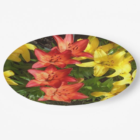 Rotes und gelbes Lilly-Foto-Papierplatte Pappteller (Schrägansicht)