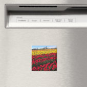 Rotes und gelbes Tulip-Feld Magnet (In Situ (Geschirrspüler))