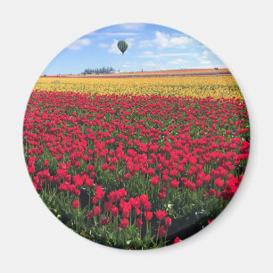 Rotes und gelbes Tulip-Feld mit Heißluftballon Magnet