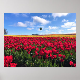 Rotes und gelbes Tulip-Feld mit Heißluftballon Poster