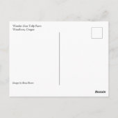 Rotes und gelbes Tulip-Feld mit Heißluftballon Postkarte (Rückseite)