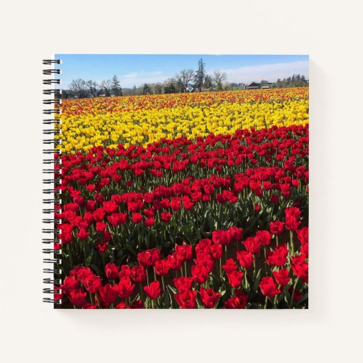 Rotes und gelbes Tulip-Feld Notizblock (Vorderseite)