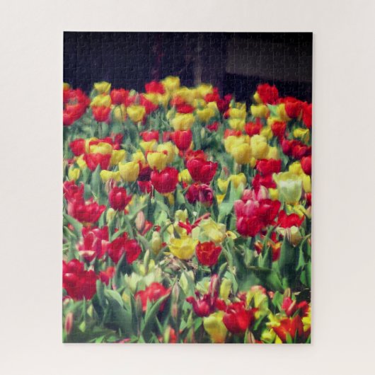 Rotes und gelbes Tulip-Feld Puzzle (Vertikal)