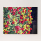 Rotes und gelbes Tulip-Feld Puzzle (Horizontal)