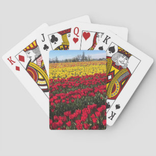 Rotes und gelbes Tulip-Feld Spielkarten