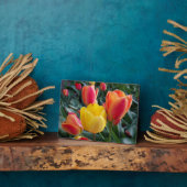 Rotes und gelbes Tulips Rock Garden Foto Fotoplatte (Seite)