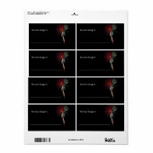 Rotes und grünes Palmenbuch (Vorne)