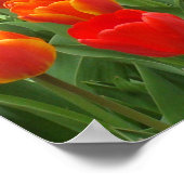 Rotes und orangefarbenes Lollipop-Poster Poster (Ecke)