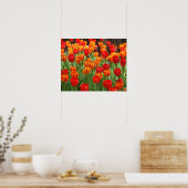 Rotes und orangefarbenes Lollipop-Poster Poster (Küche)