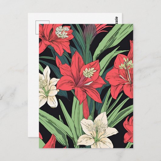 Rotes und weißes Amaryllis-Blumendesign Postkarte (Vorne/Hinten)