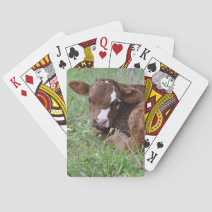 Rotes und weißes Kalb Spielkarten