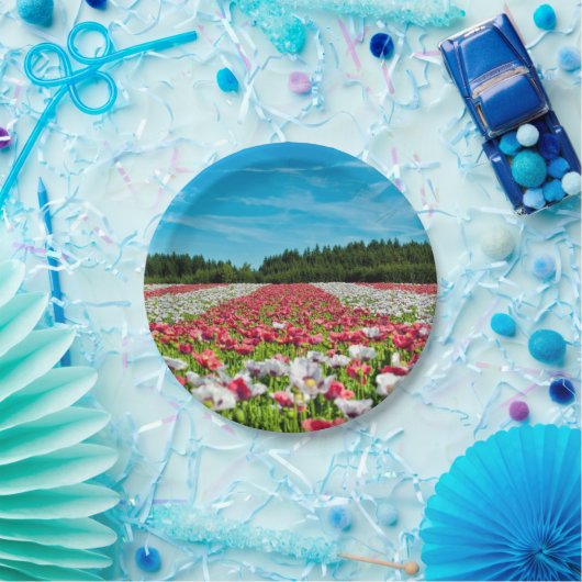 Rotes und weißes Mohnfeld Pappteller (Party)