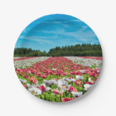 Rotes und weißes Mohnfeld Pappteller (Vorderseite)