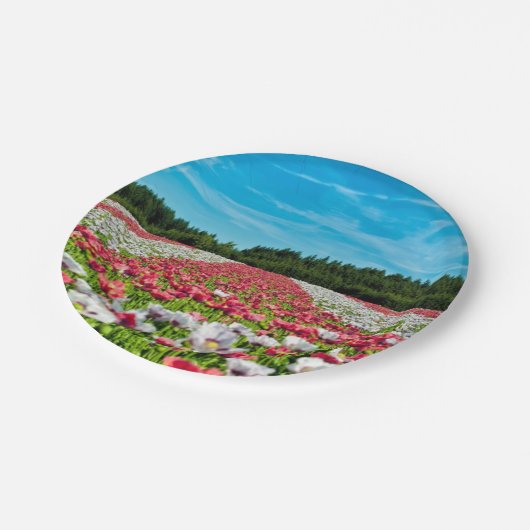 Rotes und weißes Mohnfeld Pappteller (Schrägansicht)