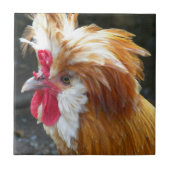 Rotes und weißes polnisches Hühnchen Fliese (Vorderseite)