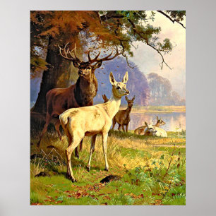 Rotes und weißes Reh nahe einem Waldteich Poster