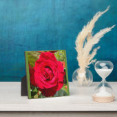 Rotes Velvet Fotoplatte (InSitu)