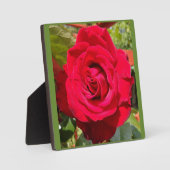 Rotes Velvet Fotoplatte (Vorderseite)