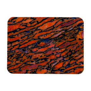 Rotes versteinertes Dinosaurierskelett Magnet