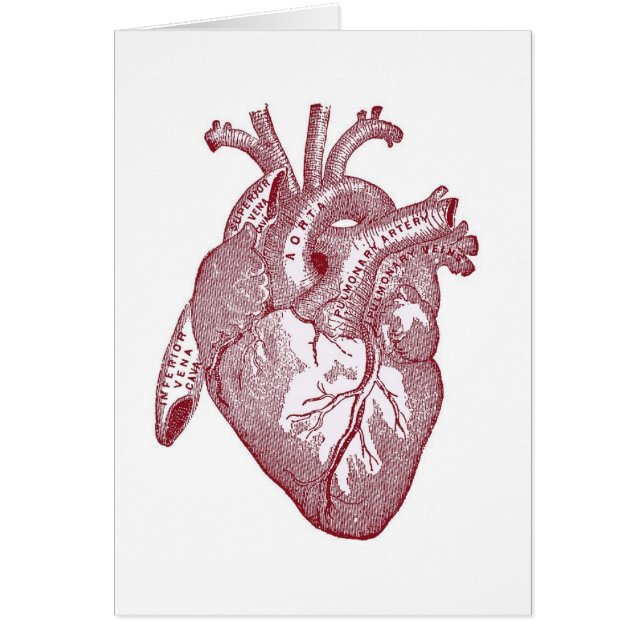Rotes Vintages anatomisches Herz (Vorne)