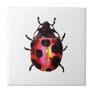 Rotes Wasser Ladybug Fliese