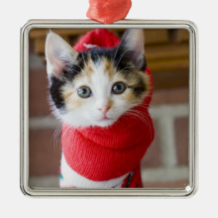 Rotes Weihnachtskätzchen Ornament Aus Metall