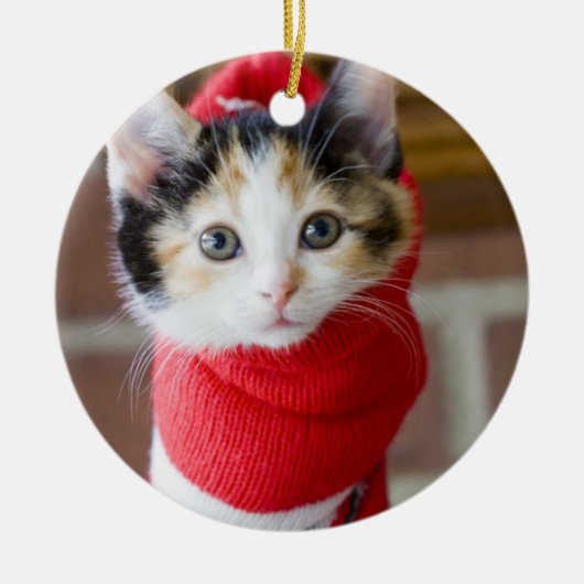 Rotes Weihnachtskätzchen Ornament Aus Metall (Vorne)