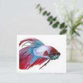 Rotes Weiß und Blau (Fisch auf weißem Hintergrund) Postkarte (Stehend Vorderseite)