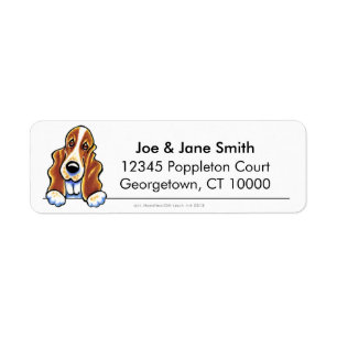 Rotes weißes Basset Hound sauber u. einfach