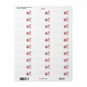 Rotes Weißes Kirschblossom (Vorne)