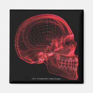 Rotes wireframe eines Schädels Magnet