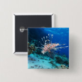 Rotfeuerfisch oder Pterois Miles, Riff-Fisch Button (Vorne & Hinten)