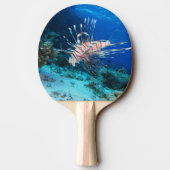 Rotfeuerfisch oder Pterois Miles, Riff-Fisch des O Tischtennis Schläger (Rückseite)