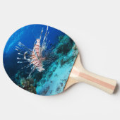 Rotfeuerfisch oder Pterois Miles, Riff-Fisch des O Tischtennis Schläger (Seitenansicht)
