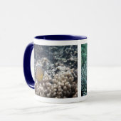 RotflosserButterflyfish (Chaetodon lunulatus) Tasse (Vorderseite Links)