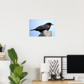 Rotflügel-Rotstaar-Fotoplakat Poster (Heimbüro)