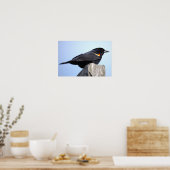 Rotflügel-Rotstaar-Fotoplakat Poster (Küche)