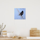 Rotflügel-Rotstaar-Fotoplakat Poster (Küche)