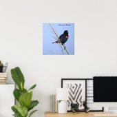 Rotflügel-Rotstaar-Fotoplakat Poster (Heimbüro)