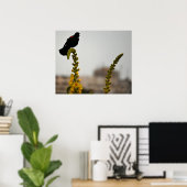 Rotflügel-Rotstauber auf Blumen Poster (Heimbüro)