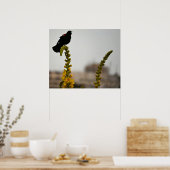Rotflügel-Rotstauber auf Blumen Poster (Küche)