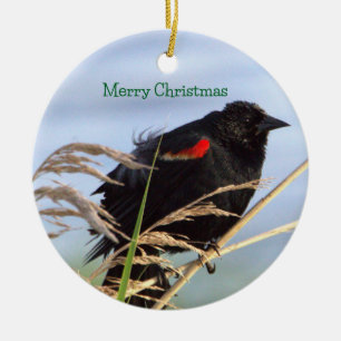 Rotflügel-Schwarzdrossel-Schmuck Keramik Ornament