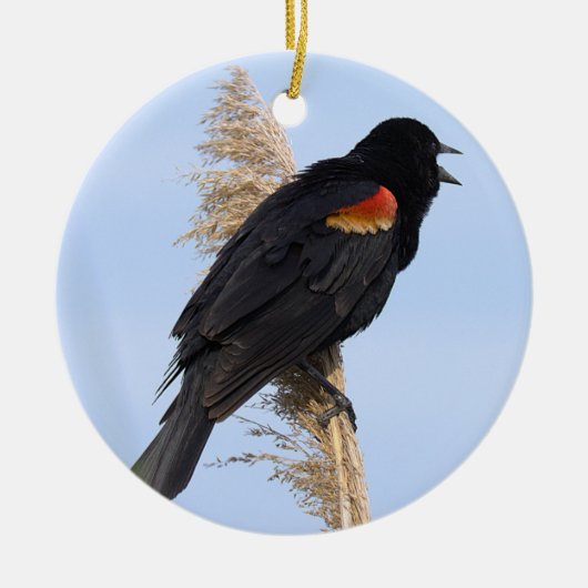 Rotflügel-Schwarzvogel-Schmuck Keramik Ornament (Vorne)