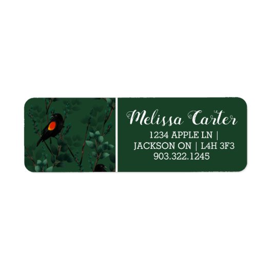 Rotflügel-Schwarzvogelmuster (Vorne)