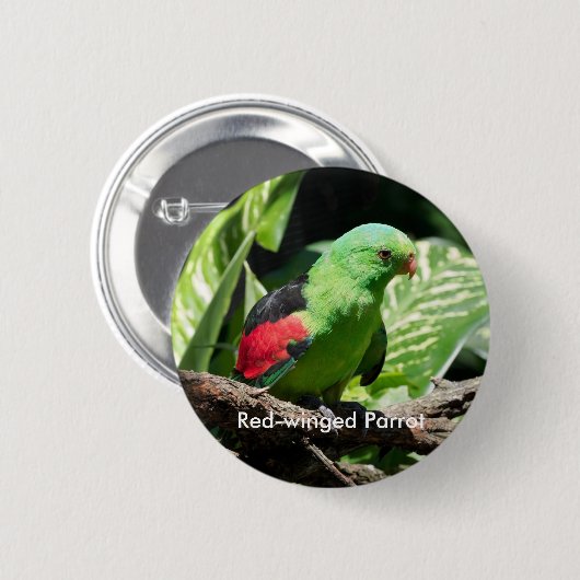 Rotflügelpapagei auf Baumlippe Button (Vorne & Hinten)